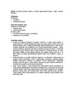 Konspekts 'Es un pasaule rudenī', 5.