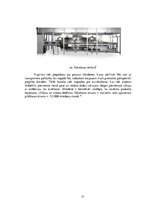 Referāts 'Sidra iepakošanas tehnoloģija', 17.