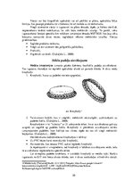 Referāts 'Sidra iepakošanas tehnoloģija', 20.