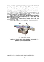 Referāts 'Sidra iepakošanas tehnoloģija', 27.