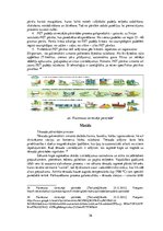 Referāts 'Sidra iepakošanas tehnoloģija', 36.