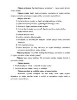 Diplomdarbs 'Digitālo tehnoloģiju izmantošana 5-6 gadus vecu bērnu valodas attīstībai', 6.