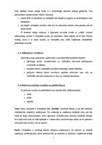 Referāts 'Nozares un produkta analīze autostāvvietā SIA "Drošība"', 7.