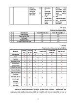 Referāts 'Nozares un produkta analīze autostāvvietā SIA "Drošība"', 11.