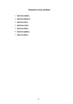 Referāts 'Nozares un produkta analīze autostāvvietā SIA "Drošība"', 18.