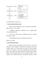 Referāts 'Uztura terapija pacientiem ar galvas, skeleta traumu', 4.