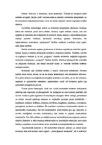 Konspekts 'Redzes motoriskais pamats', 5.