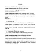 Referāts 'Reklāmas psiholoģiskā ietekme uz cilvēku', 2.