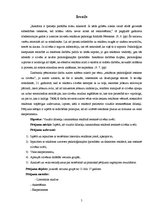 Referāts 'Reklāmas psiholoģiskā ietekme uz cilvēku', 5.