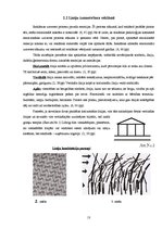 Referāts 'Reklāmas psiholoģiskā ietekme uz cilvēku', 13.