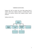 Referāts 'Pedagoģiskā problēma organizācijā un tās risinājums', 4.