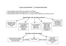Diplomdarbs 'Temata "Pārtikas problēmas pasaulē" apguve 10.klasē', 51.