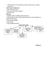 Diplomdarbs 'Temata "Pārtikas problēmas pasaulē" apguve 10.klasē', 77.