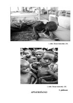 Diplomdarbs 'Temata "Pārtikas problēmas pasaulē" apguve 10.klasē', 78.