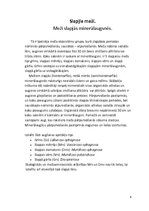 Referāts 'Meža tipoloģija', 6.