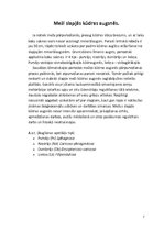 Referāts 'Meža tipoloģija', 7.