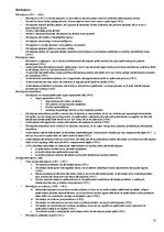 Konspekts 'Saistību tiesības', 31.