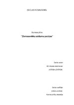 Referāts 'Biznesa plāns komerczinībās', 1.