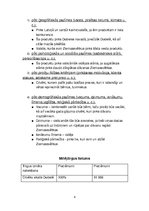 Referāts 'Biznesa plāns komerczinībās', 4.