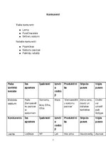 Referāts 'Biznesa plāns komerczinībās', 7.