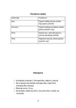 Referāts 'Biznesa plāns komerczinībās', 10.