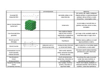 Konspekts 'Šampūna "Dzintars - Kredo natur" sastāva analīze', 2.