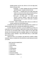 Referāts 'Mācību organizācijas formu vēsturiskā attīstība', 4.