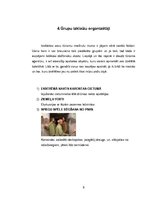 Referāts 'Aktīvā tūrisma iespējas Liepājā un Liepājas rajonā', 9.