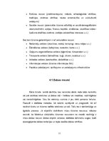 Referāts 'Aktīvā tūrisma iespējas Liepājā un Liepājas rajonā', 11.