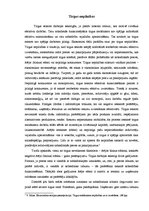 Eseja 'Tirgus nepilnības', 1.