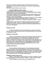 Referāts 'Viesnīcu raksturojums', 6.