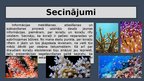 Prezentācija 'Ūdens ekosistēmu daudzveidība – koraļļu rifi', 12.