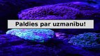 Prezentācija 'Ūdens ekosistēmu daudzveidība – koraļļu rifi', 14.