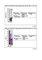 Diplomdarbs 'SIA "Kelmera Tērauds" peļņa tās ietekmējošie faktori un analīze', 13.