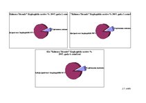 Diplomdarbs 'SIA "Kelmera Tērauds" peļņa tās ietekmējošie faktori un analīze', 15.