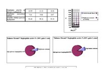 Diplomdarbs 'SIA "Kelmera Tērauds" peļņa tās ietekmējošie faktori un analīze', 21.