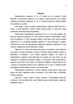 Referāts 'Vadības stili dažādās organizācijās un to ietekme uz darba efektivitāti', 2.