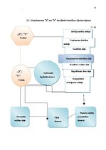 Referāts 'Vadības stili dažādās organizācijās un to ietekme uz darba efektivitāti', 18.