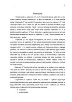 Referāts 'Vadības stili dažādās organizācijās un to ietekme uz darba efektivitāti', 33.