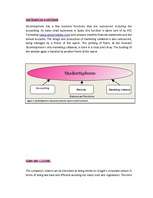 Diplomdarbs 'Business - Marketing Plan', 7.