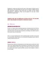 Diplomdarbs 'Business - Marketing Plan', 10.