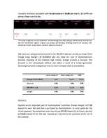 Diplomdarbs 'Business - Marketing Plan', 14.