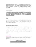 Diplomdarbs 'Business - Marketing Plan', 18.