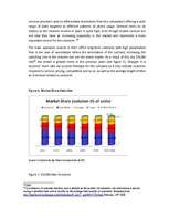 Diplomdarbs 'Business - Marketing Plan', 32.