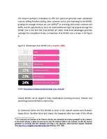 Diplomdarbs 'Business - Marketing Plan', 35.