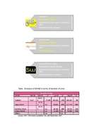 Diplomdarbs 'Business - Marketing Plan', 39.