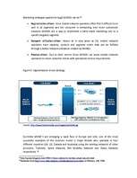 Diplomdarbs 'Business - Marketing Plan', 40.