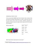 Diplomdarbs 'Business - Marketing Plan', 60.