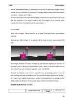 Diplomdarbs 'Business - Marketing Plan', 109.