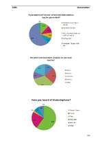 Diplomdarbs 'Business - Marketing Plan', 131.